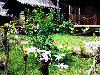 Nipa Hut Village 2*