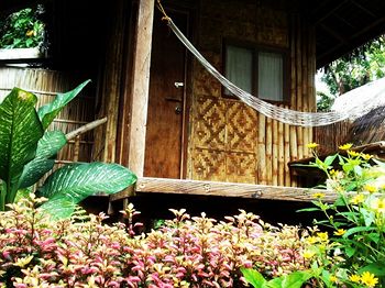 Nipa Hut Village 2*