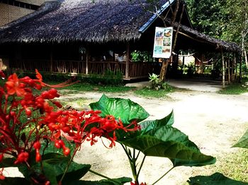 Nipa Hut Village 2*