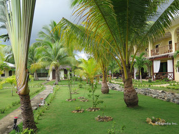 Bohol Sunside Resort 3*