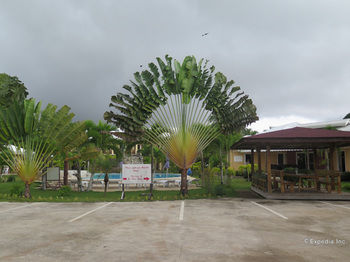 Bohol Sunside Resort 3*