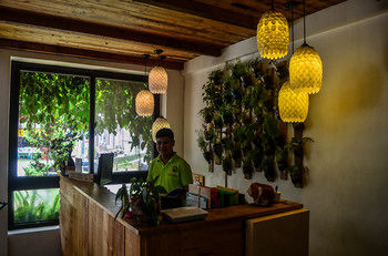 Cabins by Eco Hotels 3*