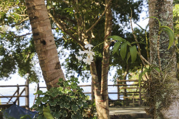 Isla Hayahay Beach Resort and Restaurant 3*