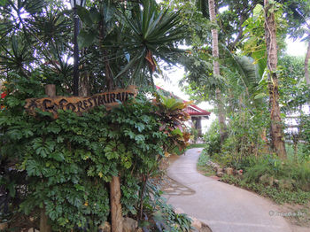 Elsalvador Beach Resort 3*