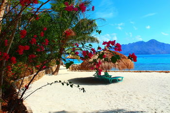 Chindonan Dive and Beach Resort 3*