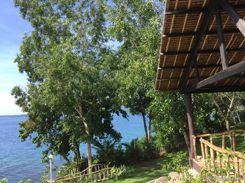 Bohol Lahoy Dive Resort 3*