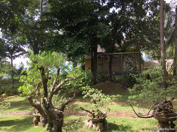 Bohol Lahoy Dive Resort 3*