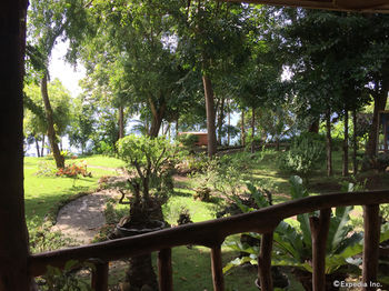 Bohol Lahoy Dive Resort 3*