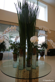 Hotel Monticello 4*