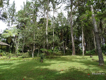 Eden Nature Park and Resort 3*