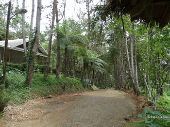 Eden Nature Park and Resort 3*