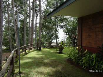 Eden Nature Park and Resort 3*