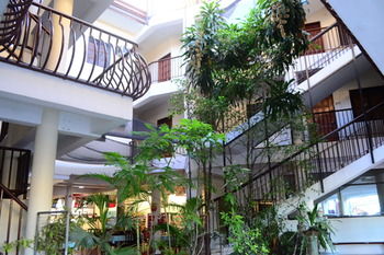 Kiwi Hotel 3*