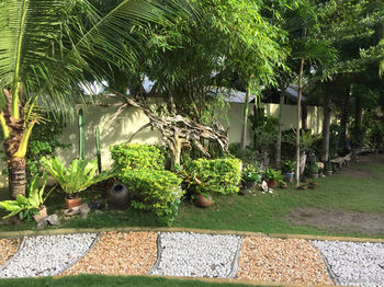 The Red Palm Resort 3*
