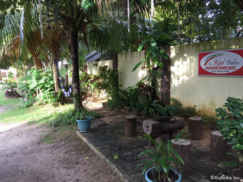 The Red Palm Resort 3*