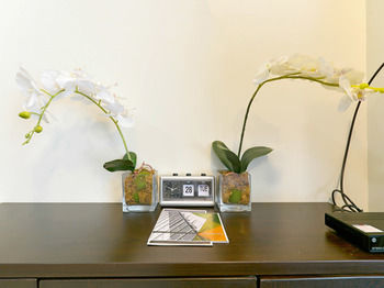 Currency Serviced Suites 3*