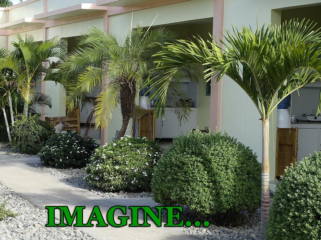 Imagine-Bohol 3*