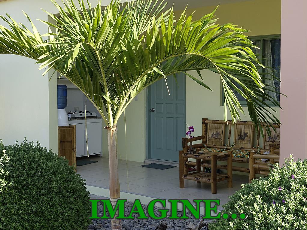 Imagine-Bohol 3*