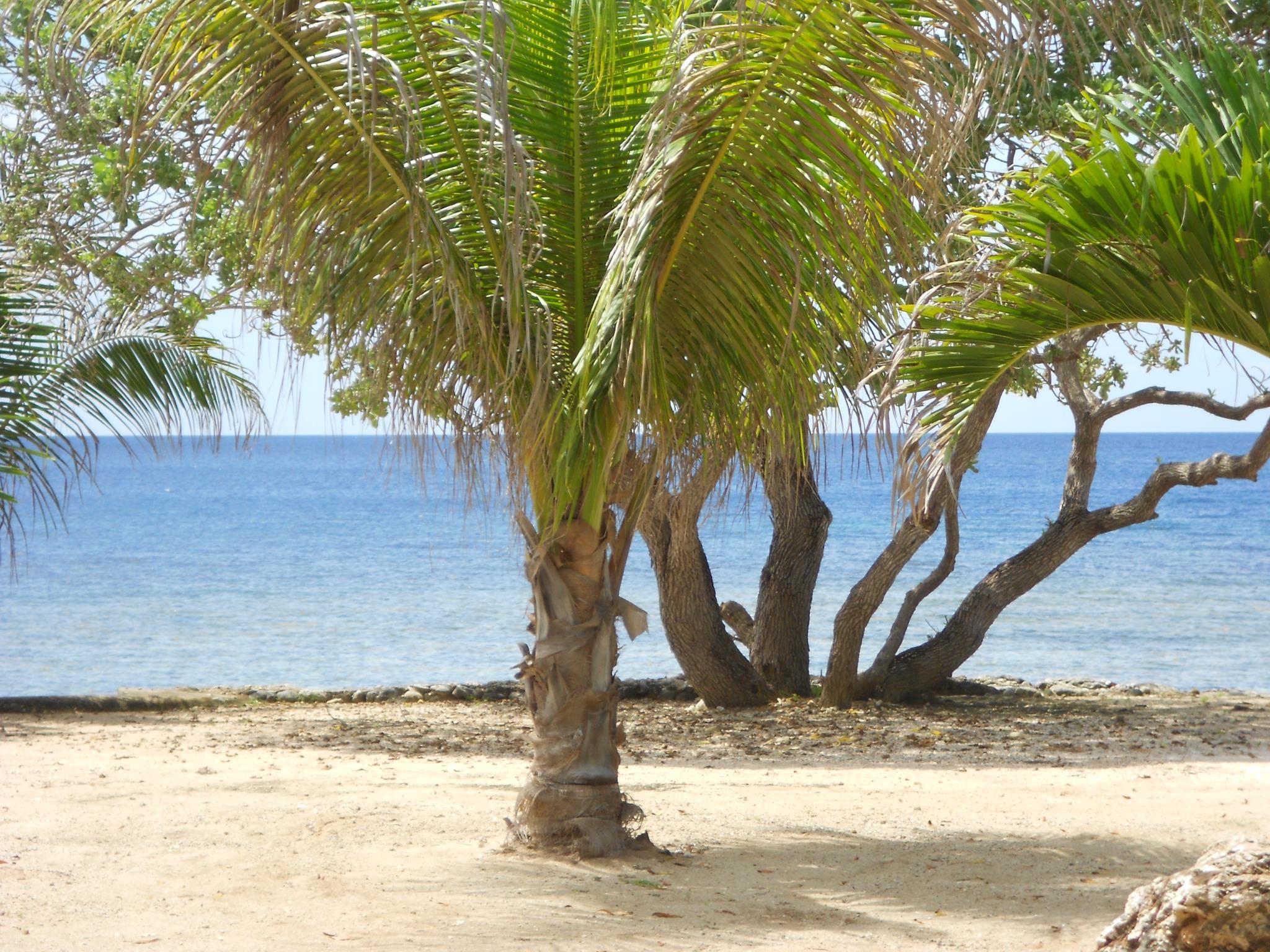 Gold View Beach Resort 3*