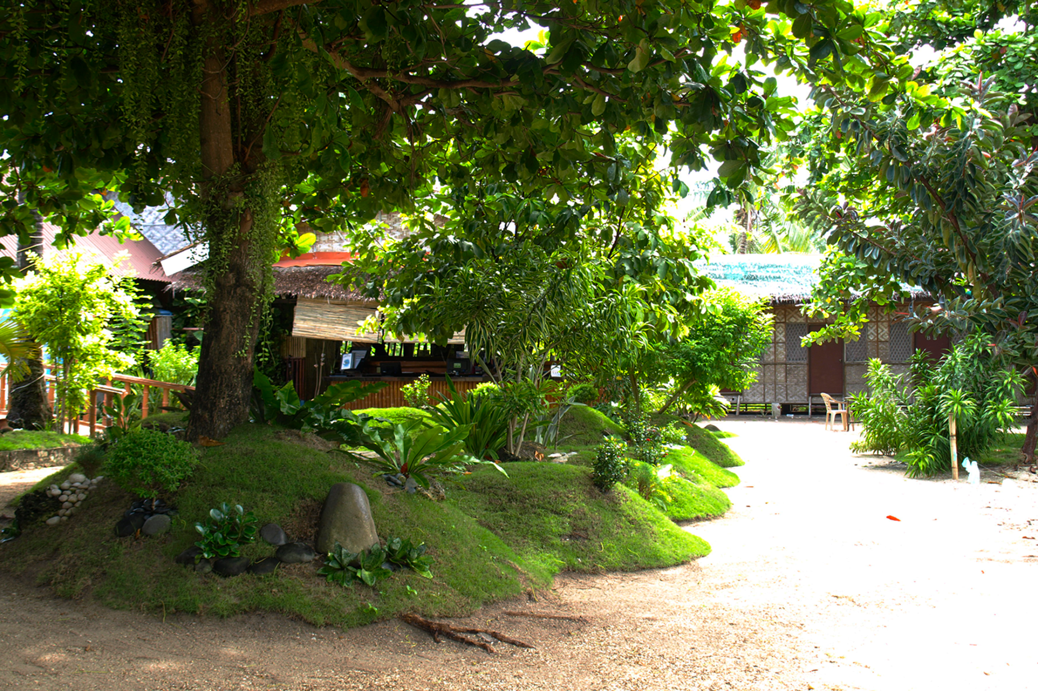 The Sharks Tail Dive Resort 3*