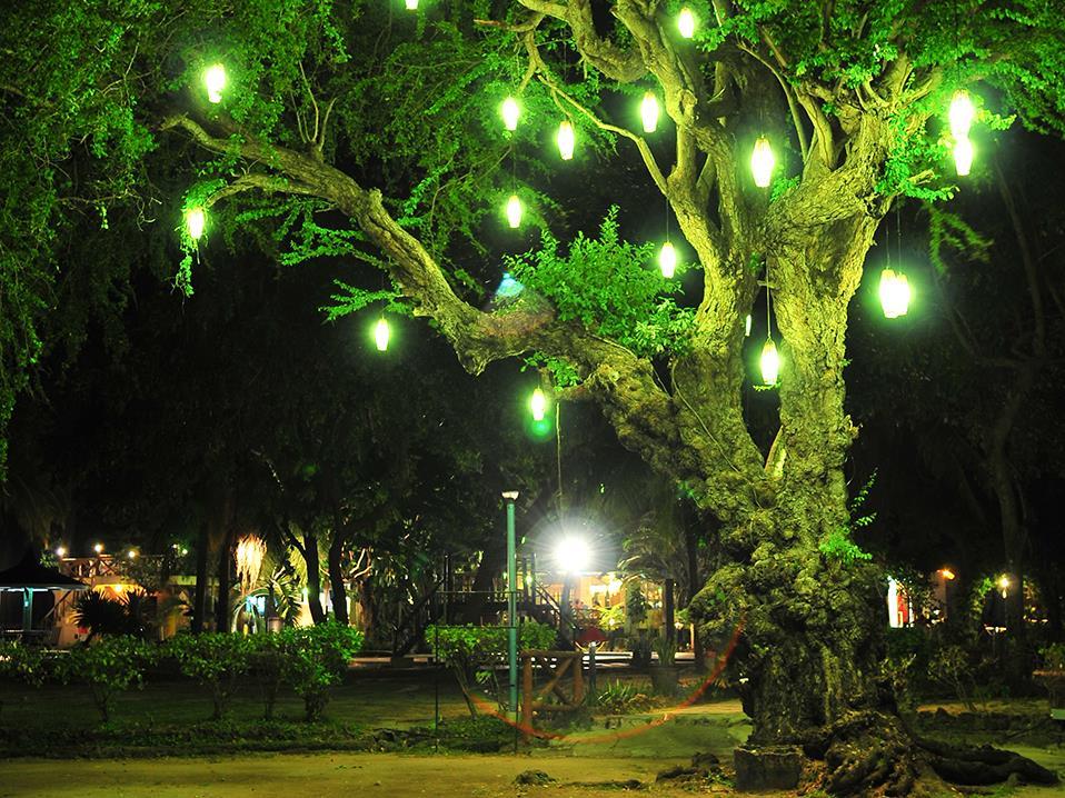 Matabungkay Beach Hotel 3*