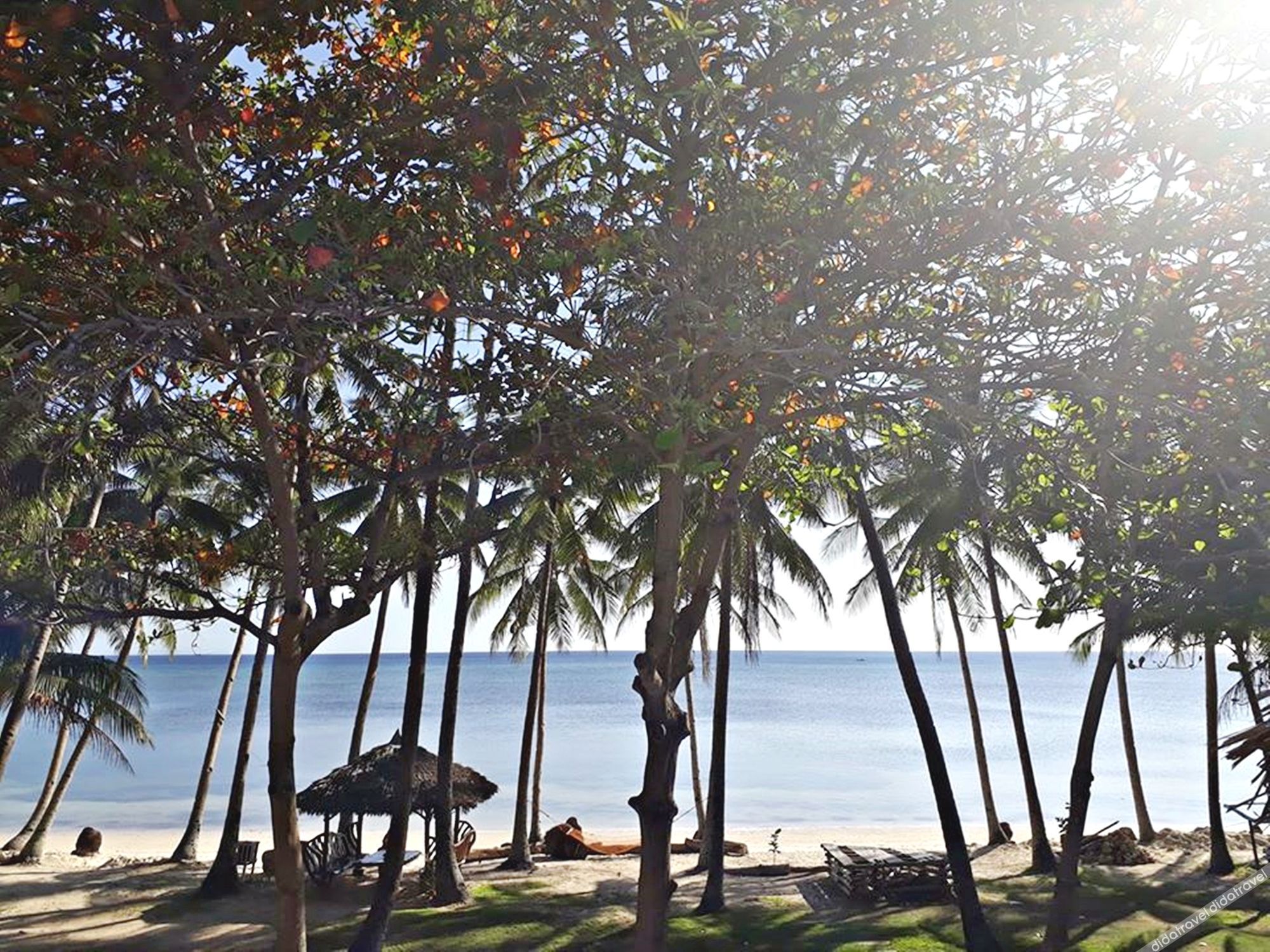 Bruce Beach Resort 3*