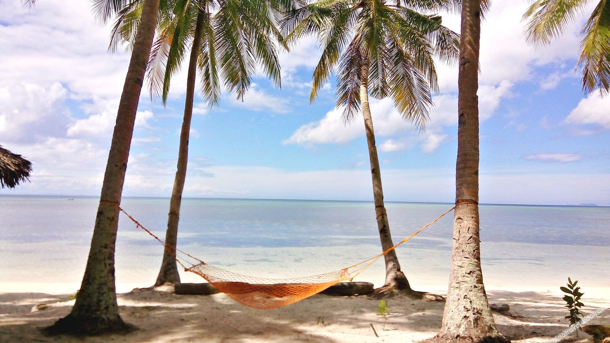 Bruce Beach Resort 3*