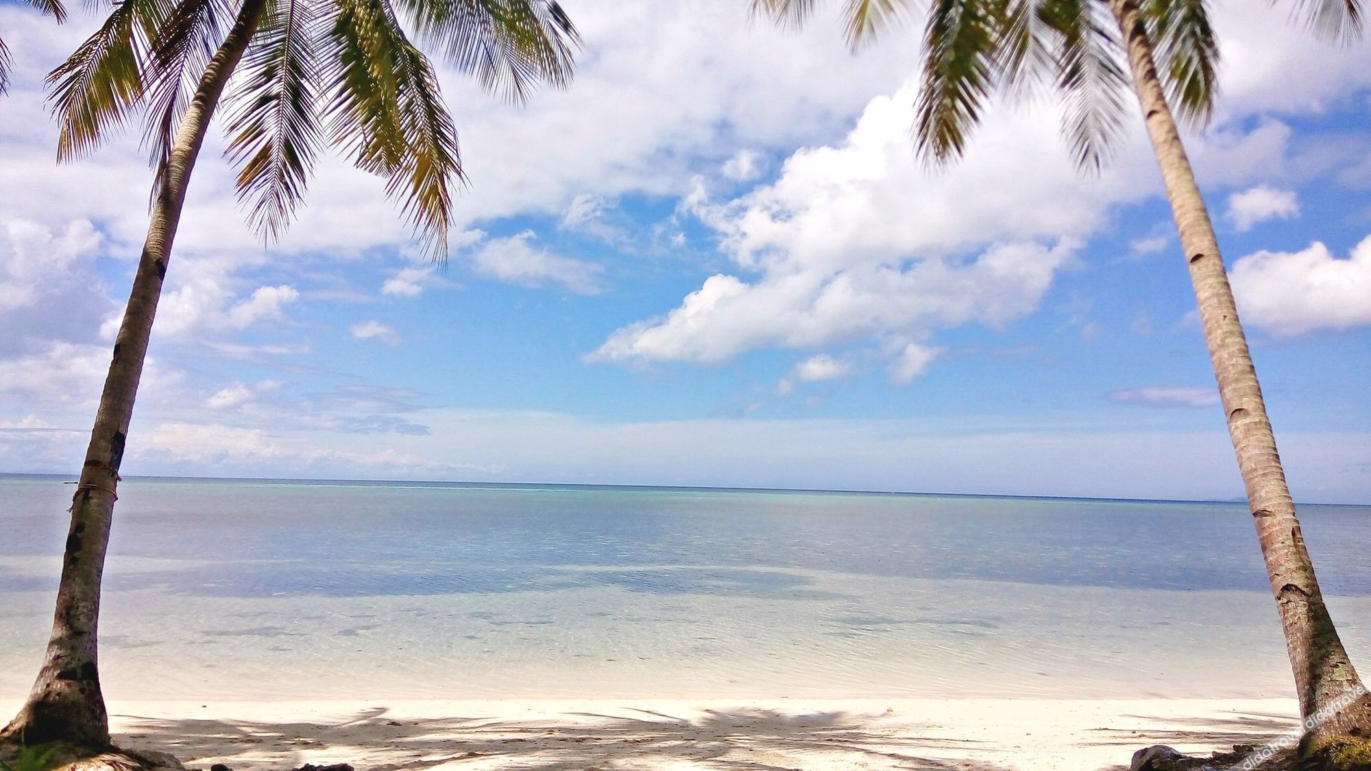 Bruce Beach Resort 3*