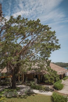Fridays Puerto Galera 5*