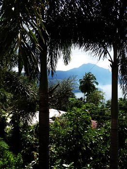 Villas by Eco Hotels 3*