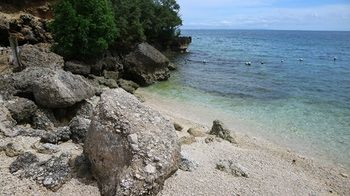 Seascape Resort Oslob 3*