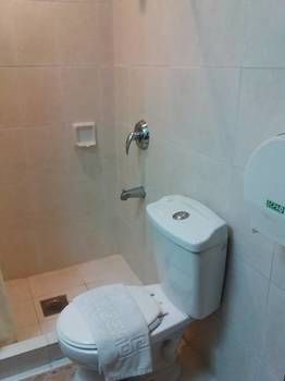 Rosvenil Hotel 3*