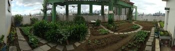 Boni Tower 3*