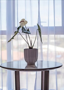 Padgett Place - Deluxe Suites 4*