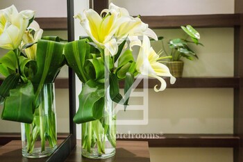 Padgett Place - Deluxe Suites 4*