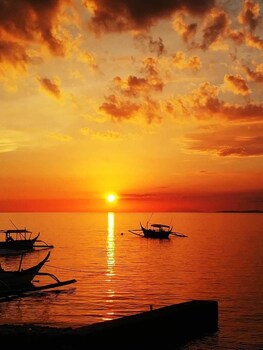 Blue Ribbon Dive Resort 3*