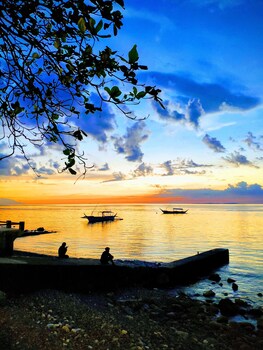Blue Ribbon Dive Resort 3*