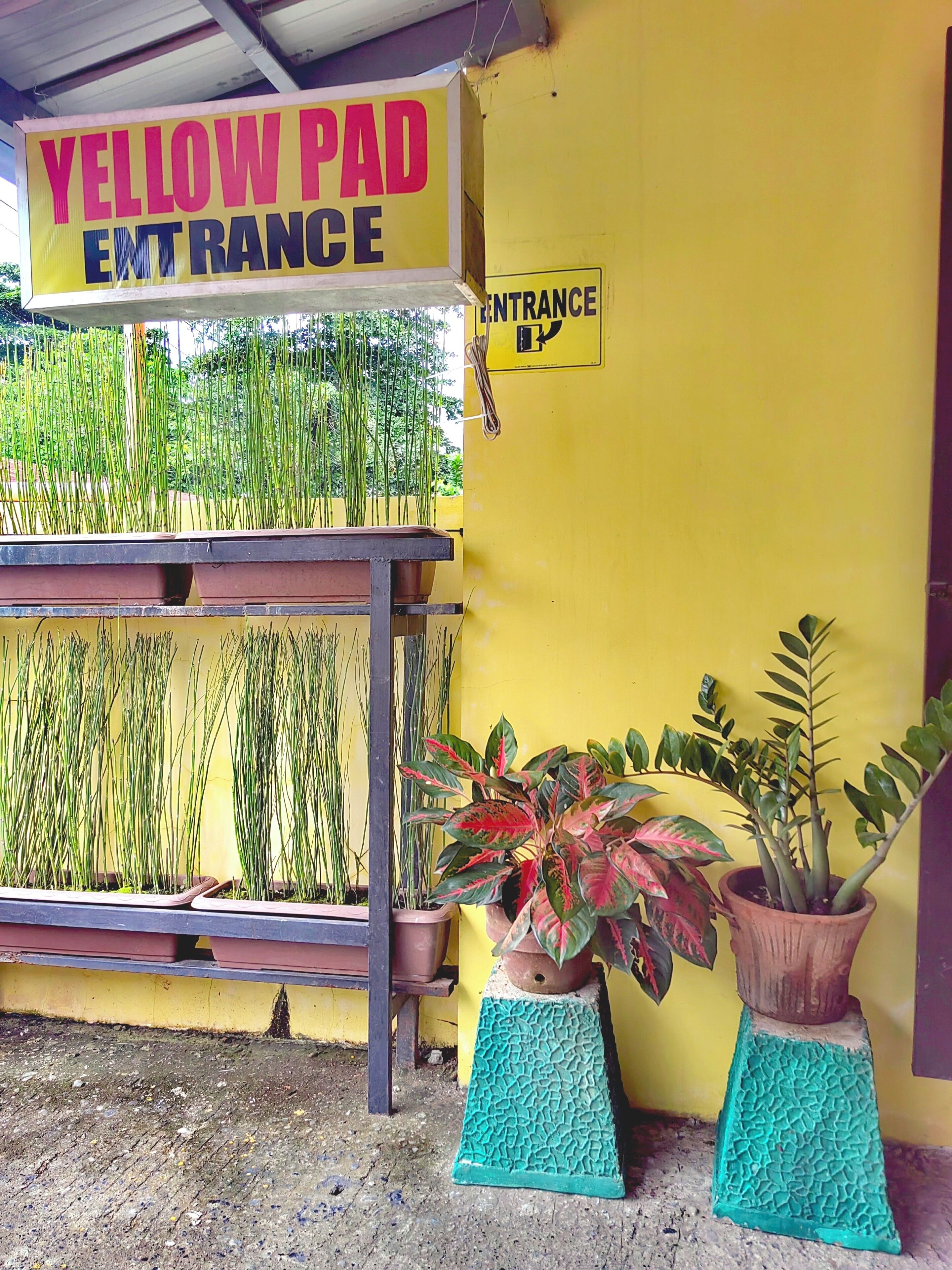 Yellow Pad Hotel Davao 2*