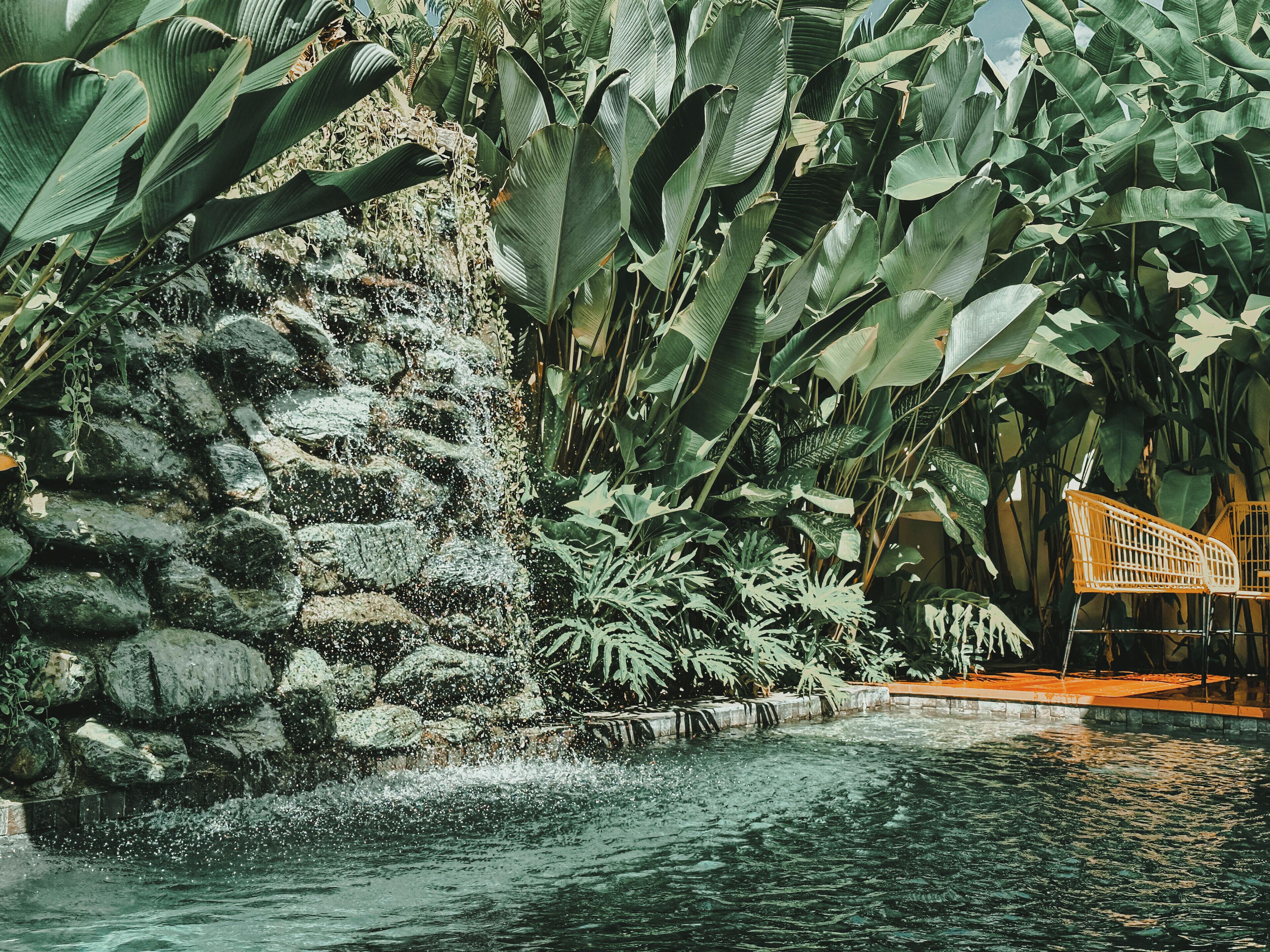 RECA Resort Philippines , Luxury Villas & Nature Retreat 2*