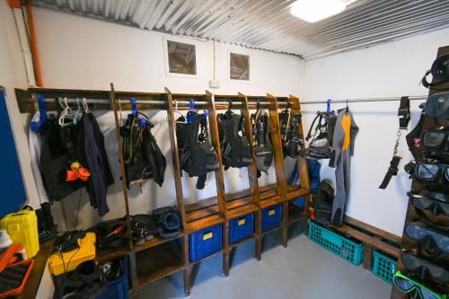 Dive Camp 2*