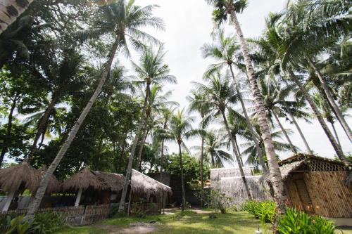 Dive Camp 2*