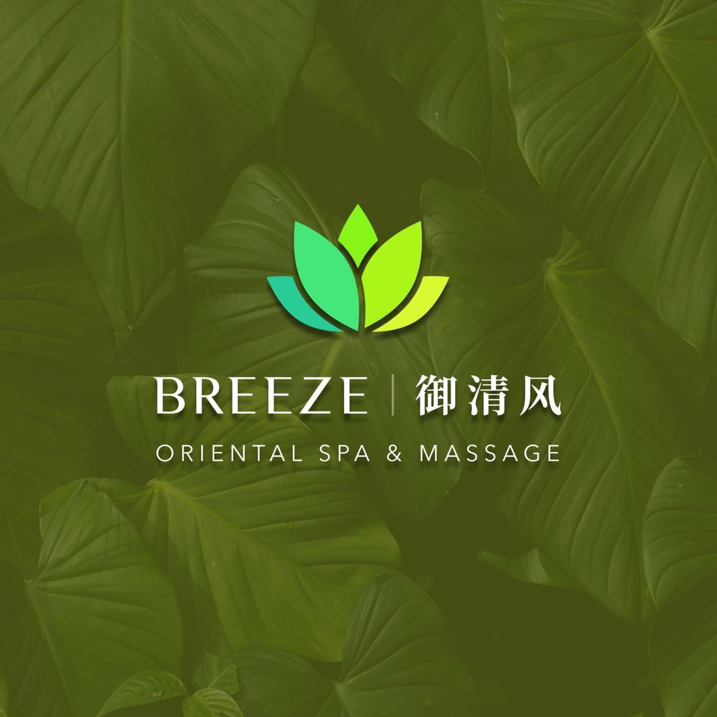 SMDC Breeze Residences Pasay 5*