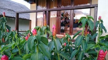Diamond Village Pai 2*