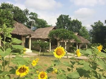 Diamond Village Pai 2*