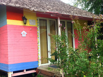 Pai Forest Resort 2*