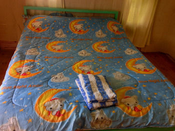 Pai Forest Resort 2*
