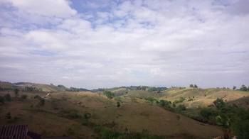 Lovely Farm 2*
