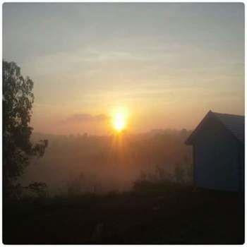 Lovely Farm 2*