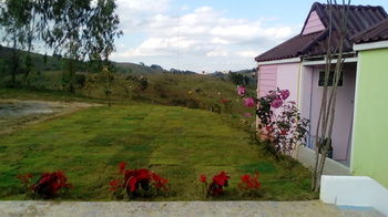 Lovely Farm 2*