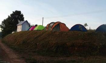 Lovely Farm 2*